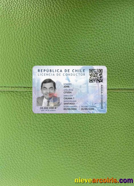 Chile driving license psd photolook